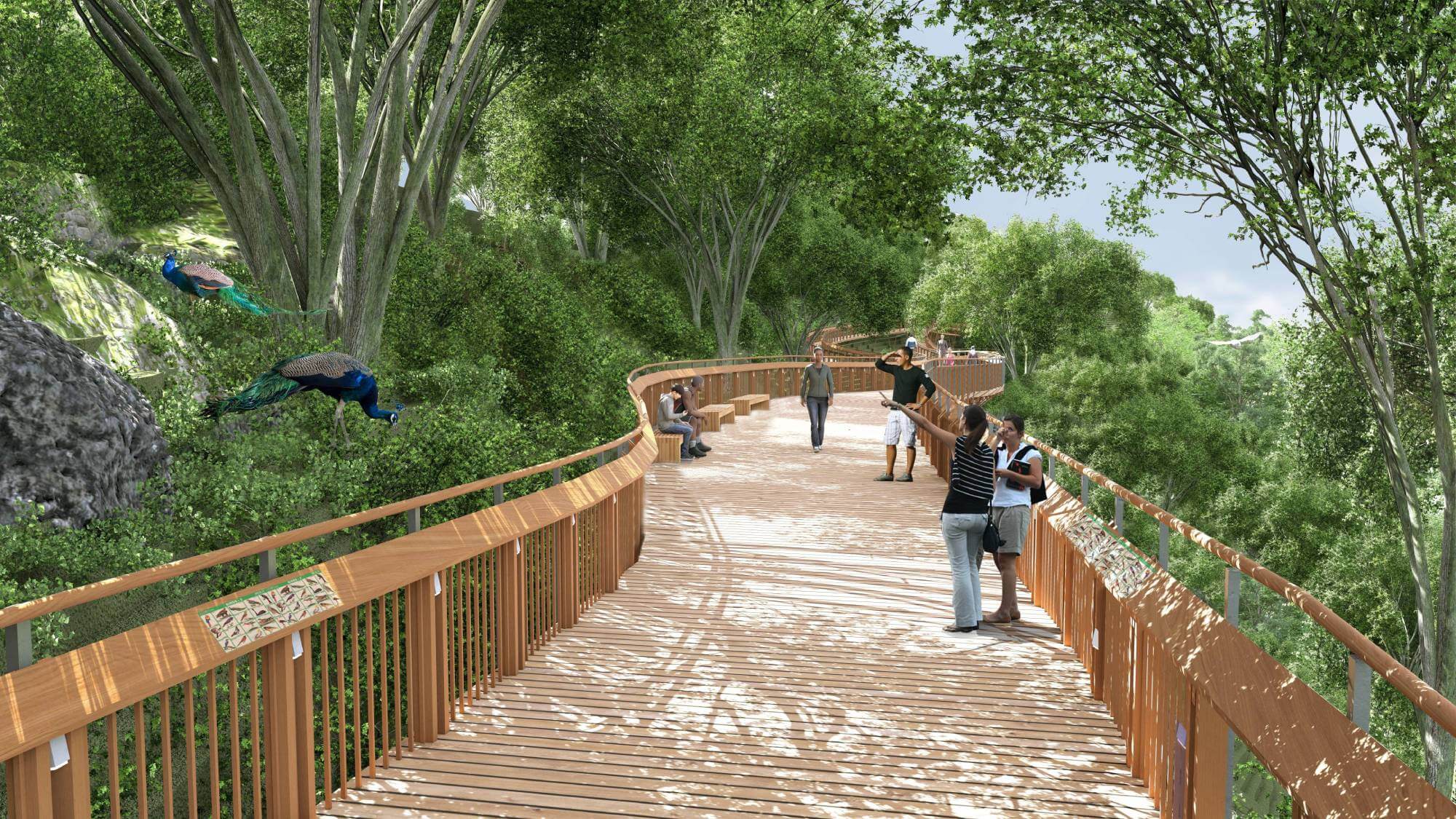 Malabar-Hill-Forest-Trail-Seating-and-information